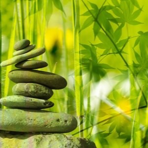 运动前吃什么加快脂肪燃烧