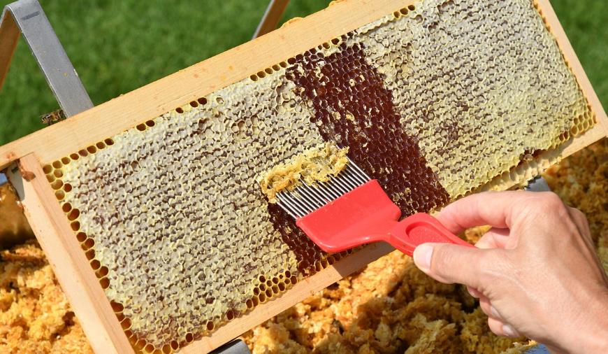 蜂蜜如何吃最好 别在泡水了10种搭配蜂蜜这么吃